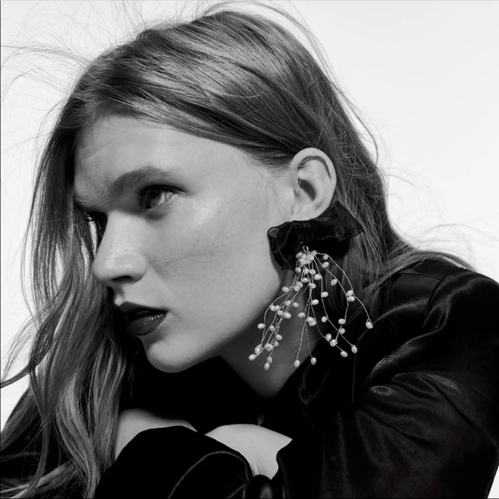 COPY - NWOT EARRINGS